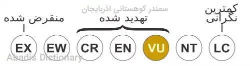 سمندر کوهستانی اذربایجان